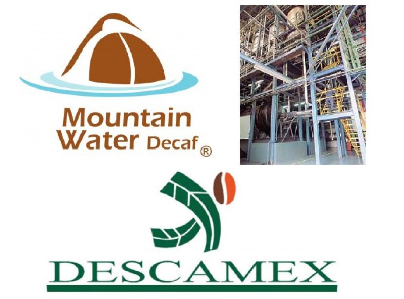 画像2: 【焙煎豆900g】メキシコ/チアパス【デカフェ】 (2)