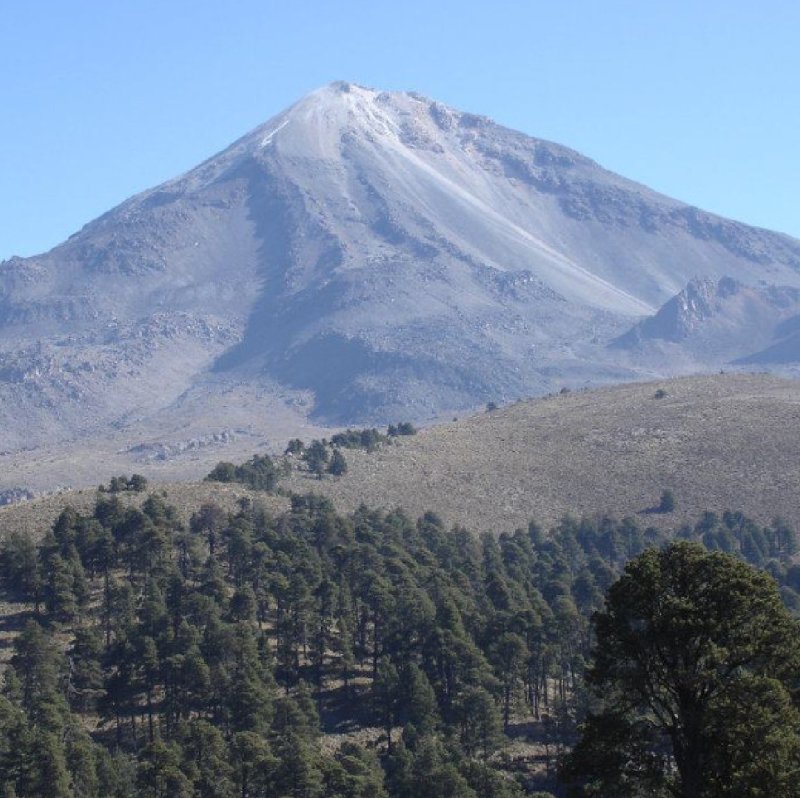 画像3: 【焙煎豆900g】メキシコ/チアパス【デカフェ】 (3)